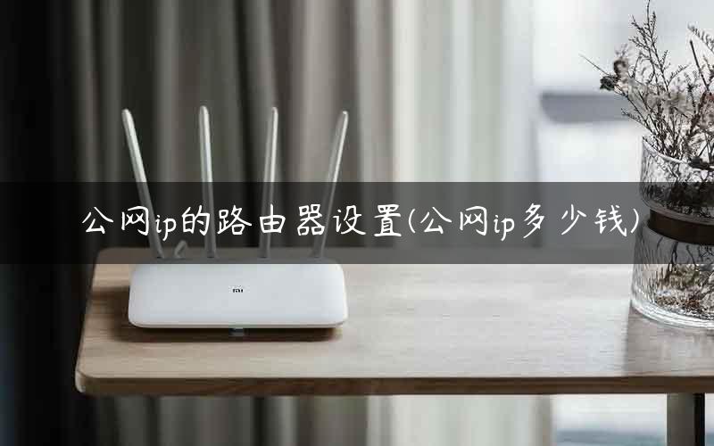 公网ip的路由器设置(公网ip多少钱) 公网ip的路由器设置(公网ip多少钱)