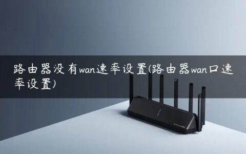 路由器没有wan速率设置(路由器wan口速率设置)