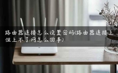 路由器连接怎么设置密码(路由器连接上但上不了网怎么回事)