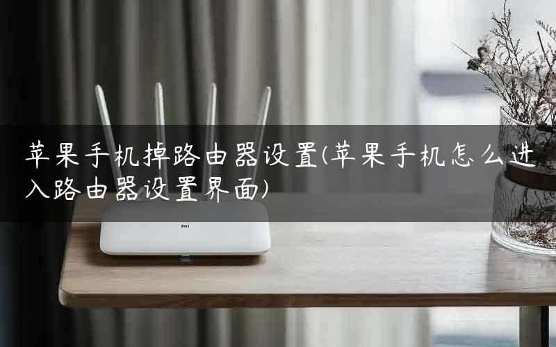 苹果手机掉路由器设置(苹果手机怎么进入路由器设置界面)