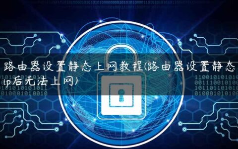 路由器设置静态上网教程(路由器设置静态ip后无法上网)