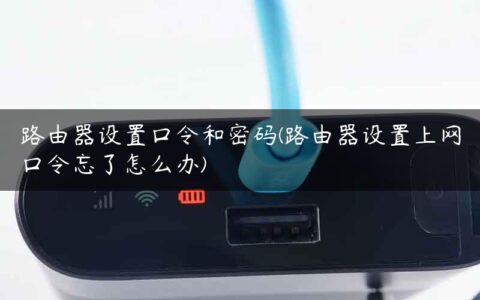 路由器设置口令和密码(路由器设置上网口令忘了怎么办)