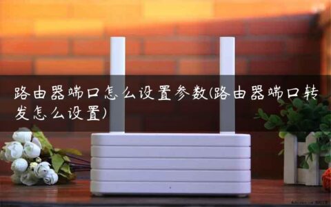 路由器端口怎么设置参数(路由器端口转发怎么设置)