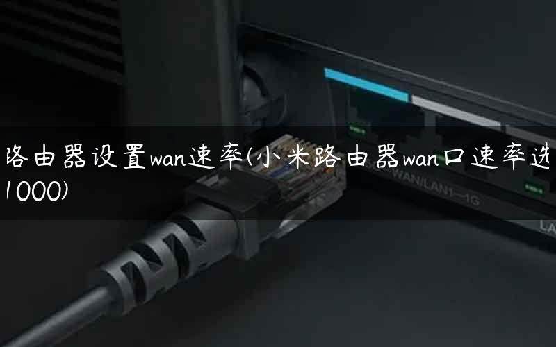 路由器设置wan速率(小米路由器wan口速率选1000)