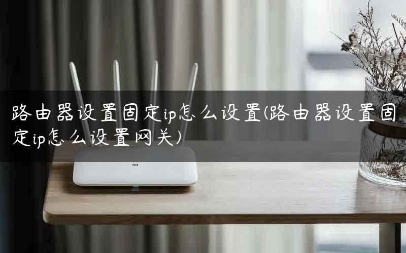 路由器设置固定ip怎么设置(路由器设置固定ip怎么设置网关) 路由器设置固定ip怎么设置(路由器设置固定ip怎么设置网关)