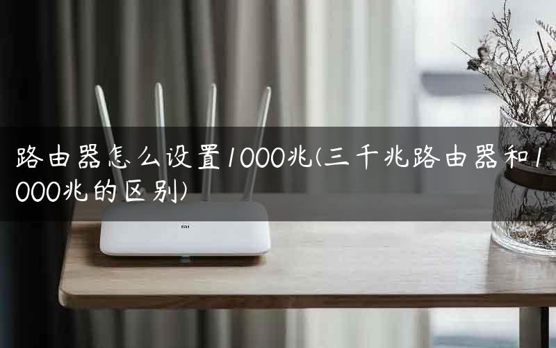 路由器怎么设置1000兆(三千兆路由器和1000兆的区别)