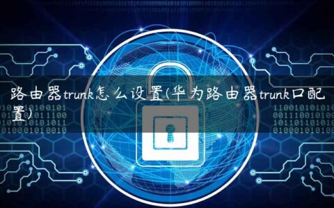 路由器trunk怎么设置(华为路由器trunk口配置)
