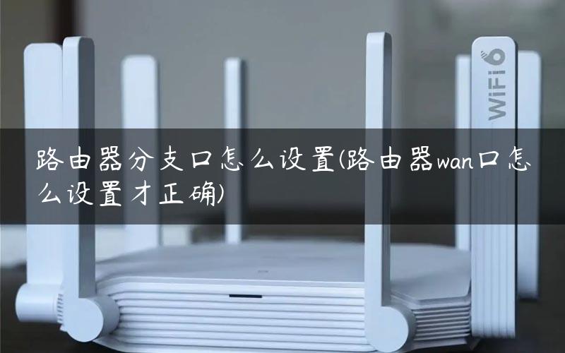 路由器分支口怎么设置(路由器wan口怎么设置才正确)