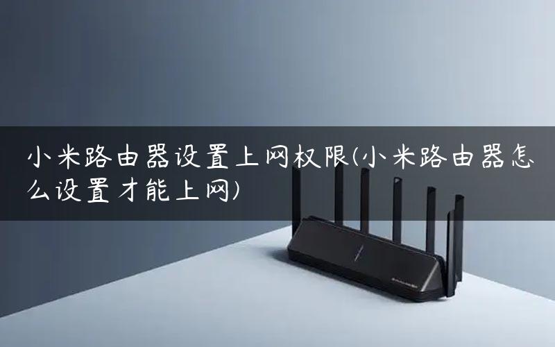 小米路由器设置上网权限(小米路由器怎么设置才能上网)