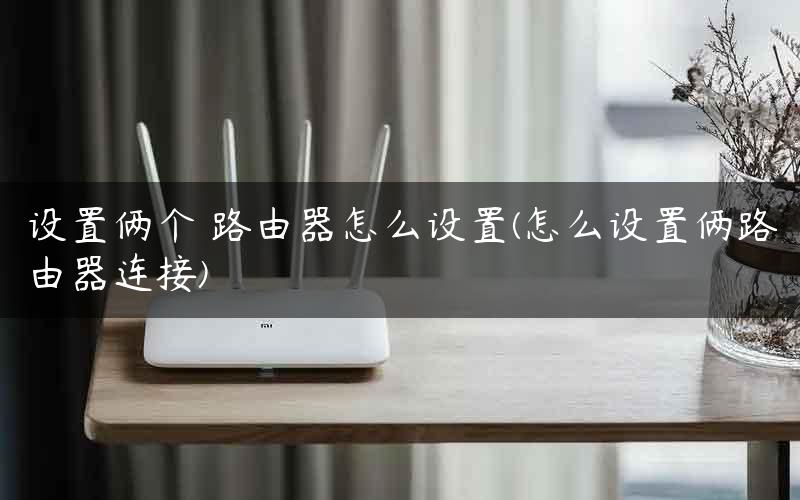 设置俩个 路由器怎么设置(怎么设置俩路由器连接)