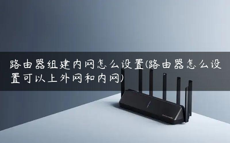 路由器组建内网怎么设置(路由器怎么设置可以上外网和内网)