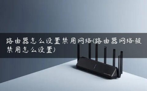 路由器怎么设置禁用网络(路由器网络被禁用怎么设置)
