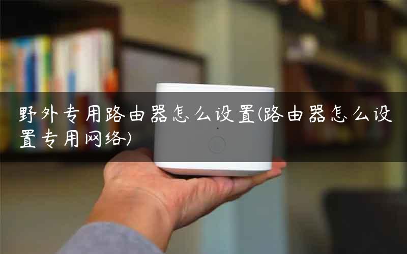 野外专用路由器怎么设置(路由器怎么设置专用网络)