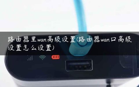 路由器里wan高级设置(路由器wan口高级设置怎么设置)