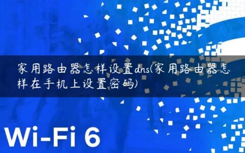 家用路由器怎样设置dns(家用路由器怎样在手机上设置密码)