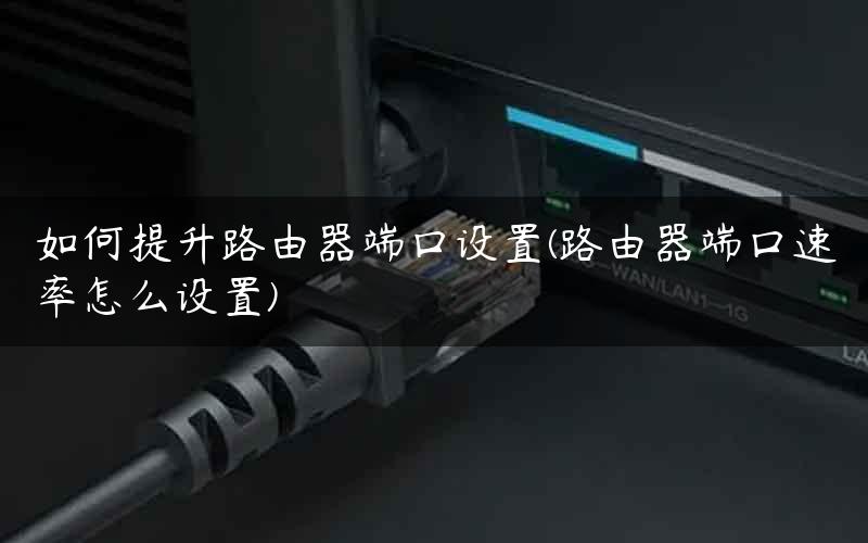 如何提升路由器端口设置(路由器端口速率怎么设置)
