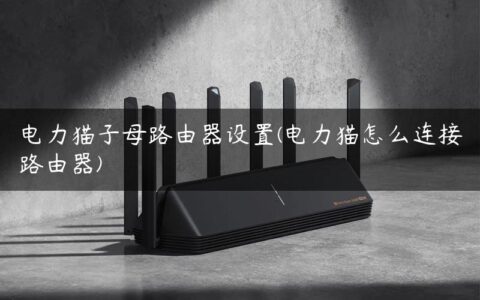 电力猫子母路由器设置(电力猫怎么连接路由器)