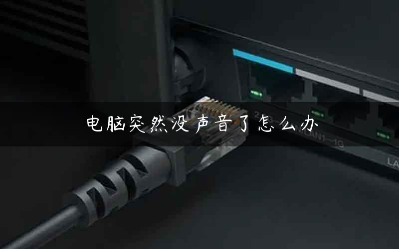 电脑突然没声音了怎么办