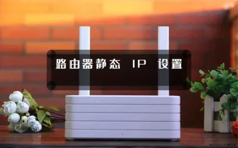 路由器静态 IP 设置