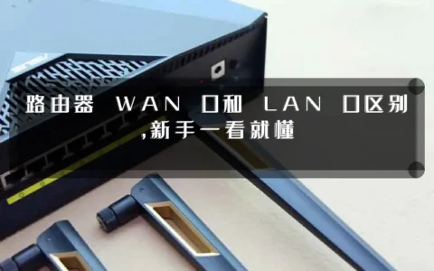 路由器 WAN 口和 LAN 口区别，新手一看就懂