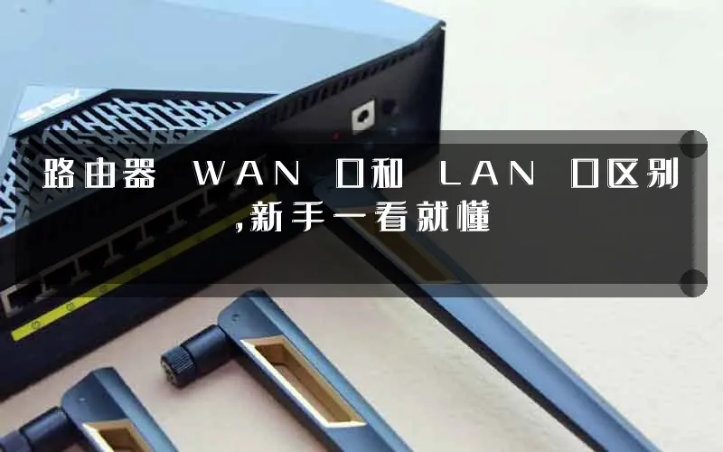 路由器 WAN 口和 LAN 口区别,新手一看就懂
