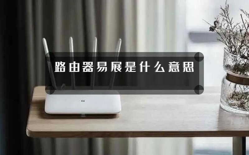 路由器易展是什么意思