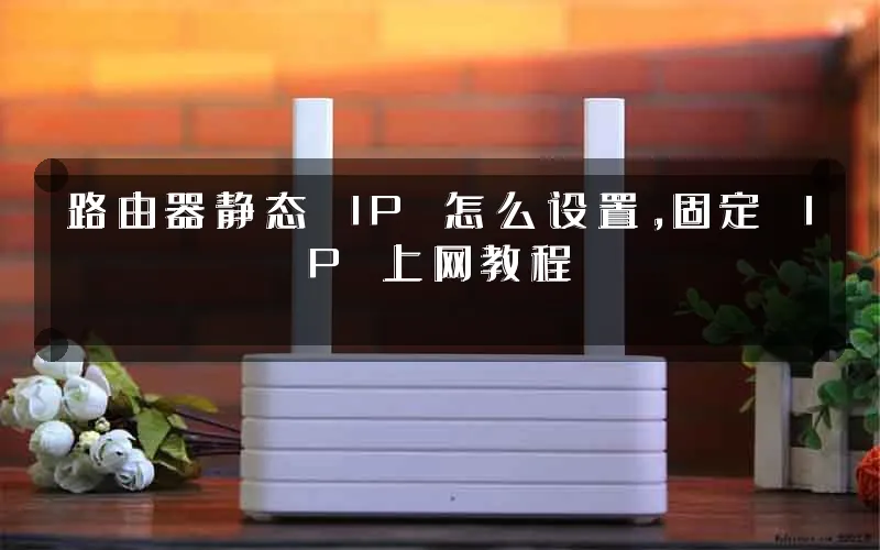 路由器静态 IP 怎么设置,固定 IP 上网教程